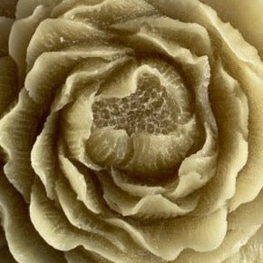 Geurwax Bernstein Rose Jasmin 8x8x3cm