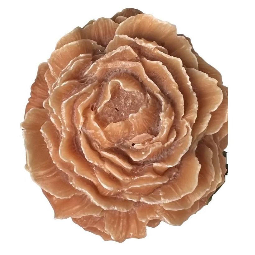 Geurwax Bernstein Rose Sandelwood 8x8x3cm