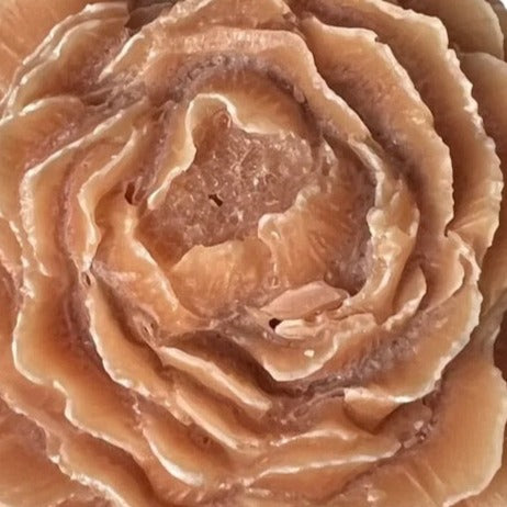 Geurwax Bernstein Rose Sandelwood 8x8x3cm