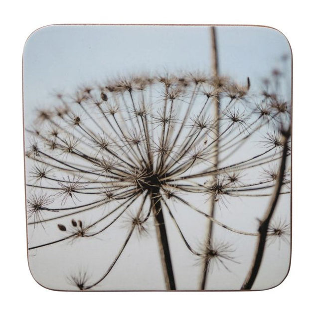 Onderzetters set-van-6 Natuur Berenblauw 10x10cm