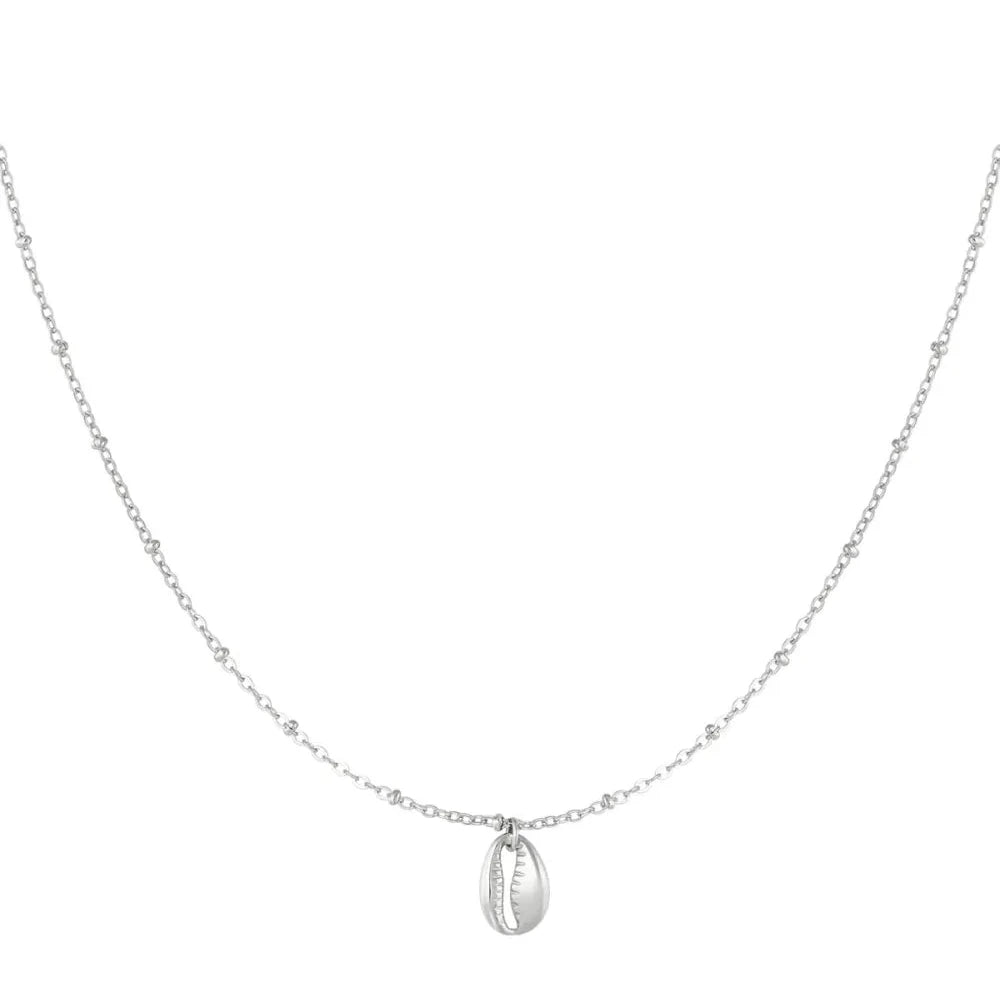 Ketting Schakel met Schelp zilver