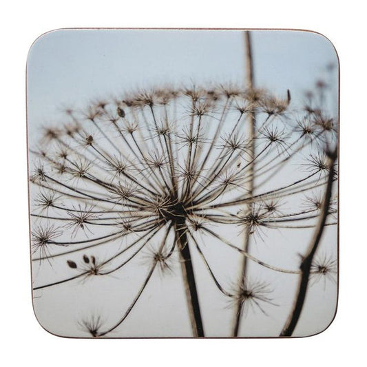 Onderzetters set-van-6 Natuur Berenblauw 10x10cm