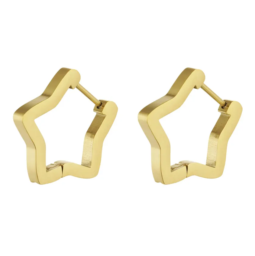 Oorbellen Basic Ster goud L