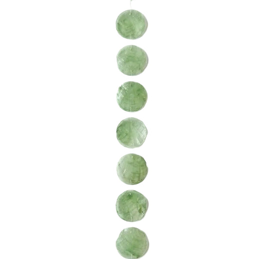 Schelpenslinger Capiz mint 8x8x190cm
