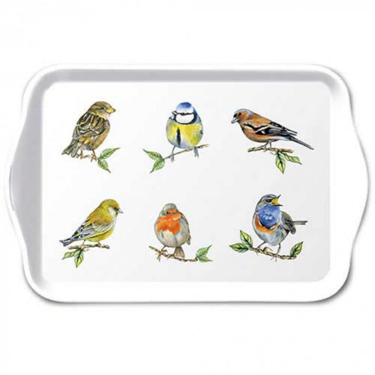 Tray Bird species white 13x21cm