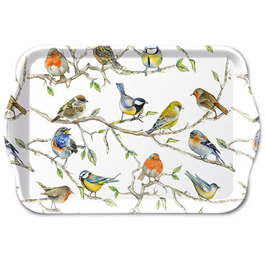 Tray Birds meeting 13x21cm